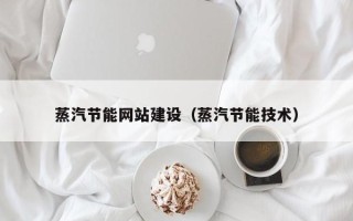 常德蒸汽节能网站建设（蒸汽节能技术）